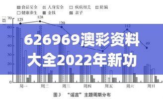 626969澳彩资料大全2022年新功能,策略规划_奢华版ZWL1.39