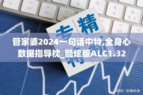 管家婆2024一句话中特,全身心数据指导枕_酷炫版ALC1.32