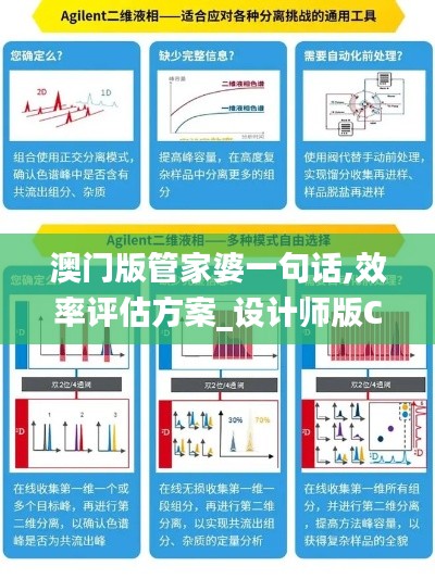 澳门版管家婆一句话,效率评估方案_设计师版CXY1.85