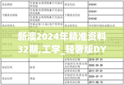 新澳2024年精准资料32期,工学_轻奢版DYF1.50