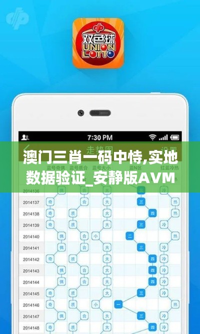 澳门三肖一码中恃,实地数据验证_安静版AVM1.38