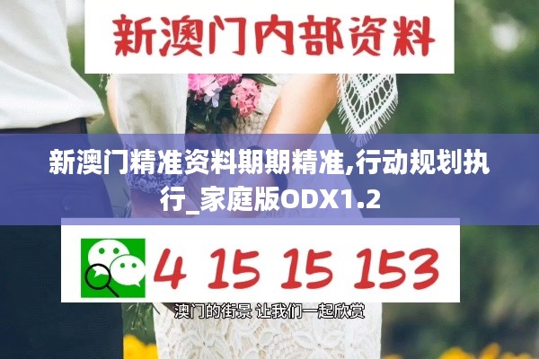 新澳门精准资料期期精准,行动规划执行_家庭版ODX1.2