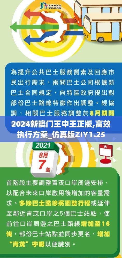 2024新澳门王中王正版,高效执行方案_仿真版ZIY1.25