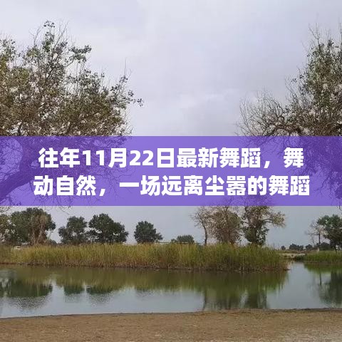 探寻内心的宁静与平和，一场远离尘嚣的舞蹈之旅，最新舞蹈舞动自然