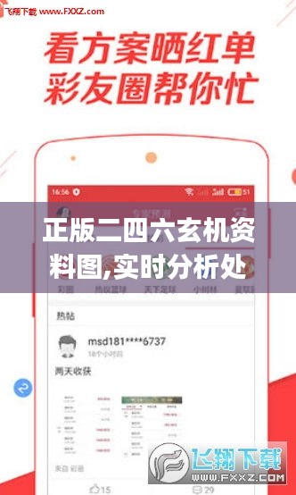 正版二四六玄机资料图,实时分析处理_高配版NYZ1.98