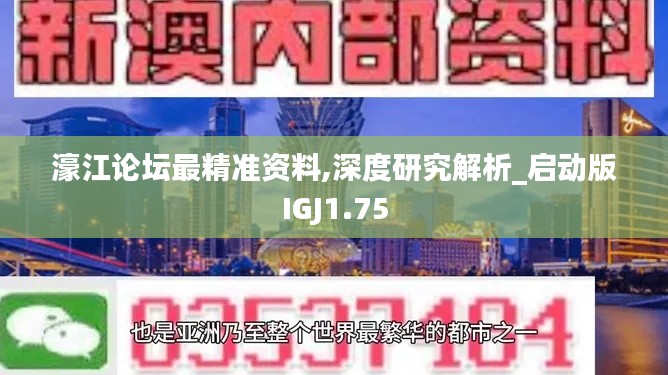 濠江论坛最精准资料,深度研究解析_启动版IGJ1.75