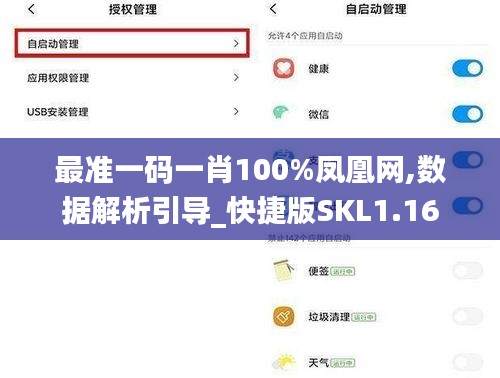 最准一码一肖100%凤凰网,数据解析引导_快捷版SKL1.16