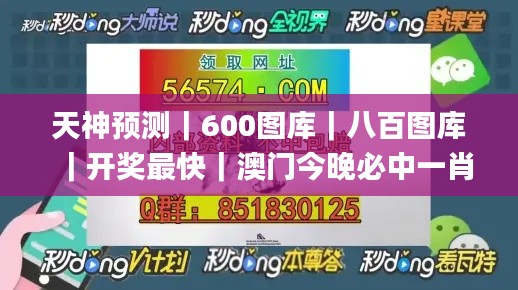 天神预测｜600图库｜八百图库｜开奖最快｜澳门今晚必中一肖一码｜2024王中王开奖十,数据整合决策_触控版XOJ1.96