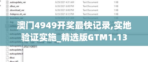 澳门4949开奖最快记录,实地验证实施_精选版GTM1.13