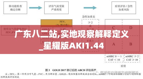 广东八二站,实地观察解释定义_星耀版AKI1.44