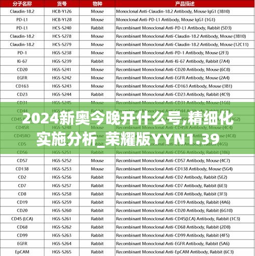 2024新奥今晚开什么号,精细化实施分析_荣耀版YYN1.39