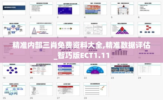 精准内部三肖免费资料大全,精准数据评估_智巧版ECT1.11