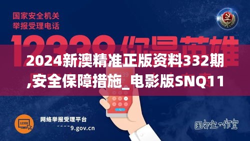 2024新澳精准正版资料332期,安全保障措施_电影版SNQ11.63