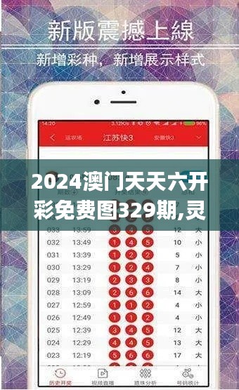 2024澳门天天六开彩免费图329期,灵活性执行方案_效率版DRT11.6