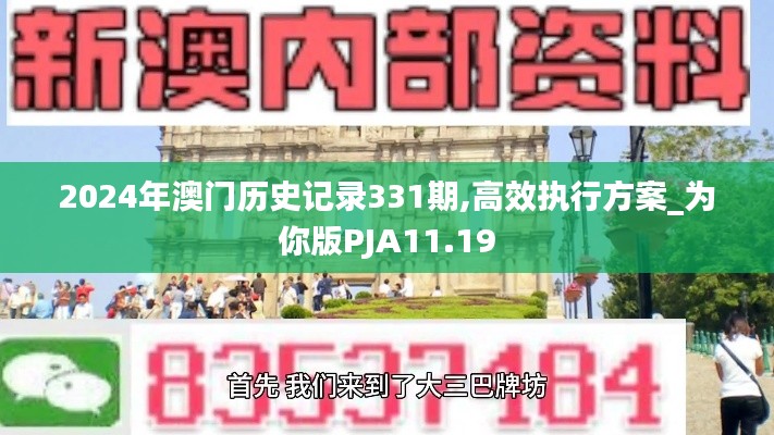 2024年澳门历史记录331期,高效执行方案_为你版PJA11.19