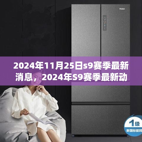 独家揭秘，2024年S9赛季最新动态与前沿资讯解析