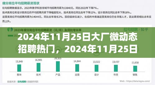 2024年11月25日大厂微动态招聘热门解析，特性、体验、竞争态势与用户需求全面剖析