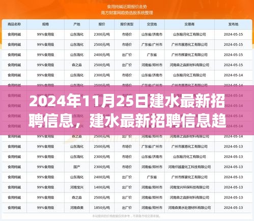 建水最新招聘信息趋势展望与观点阐述（2024年11月25日）