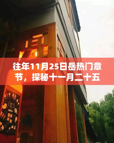 探秘岳巷深处，特色小店的独特魅力与十一月二十五日的隐藏瑰宝