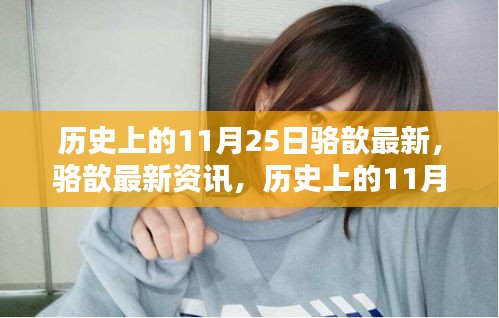 骆歆最新资讯，历史上的11月25日深度解析与产品特性体验回顾