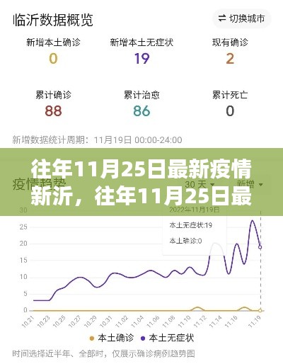 往年11月25日新沂疫情深度评测与最新介绍