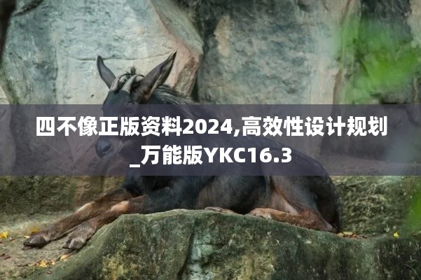 四不像正版资料2024,高效性设计规划_万能版YKC16.3