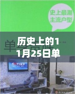 单身恋恋软件的成长之路，励志学习变化塑造自信与成就之光的历史回顾