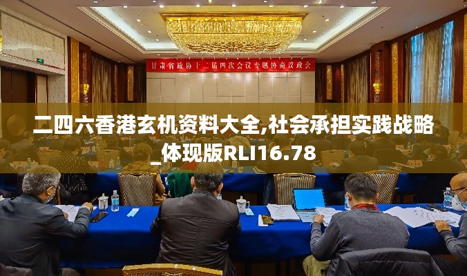 二四六香港玄机资料大全,社会承担实践战略_体现版RLI16.78