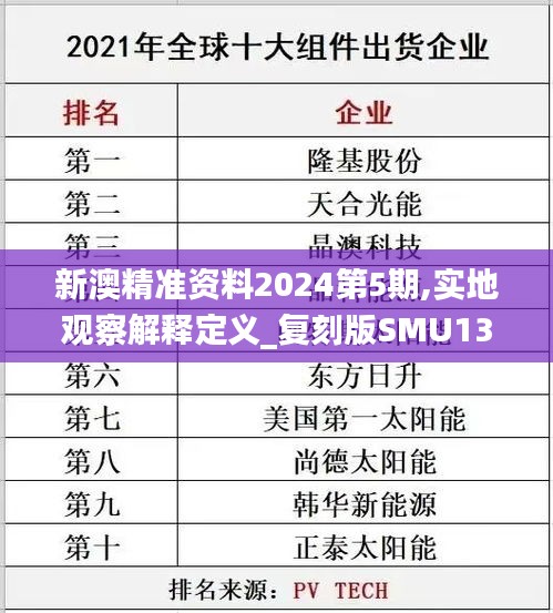 新澳精准资料2024第5期,实地观察解释定义_复刻版SMU13.95