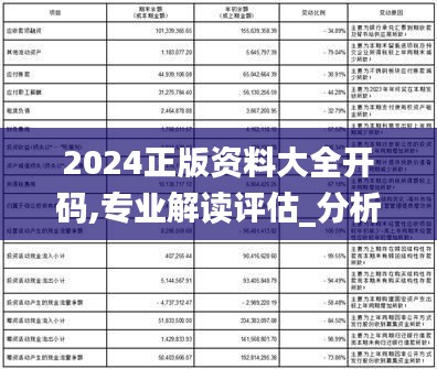 2024正版资料大全开码,专业解读评估_分析版ZGH13.85