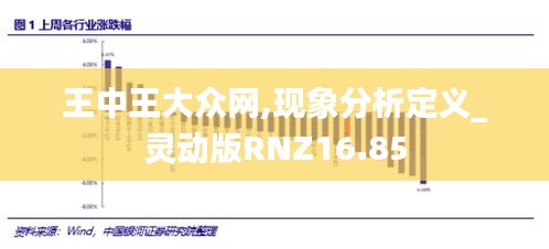 王中王大众网,现象分析定义_灵动版RNZ16.85