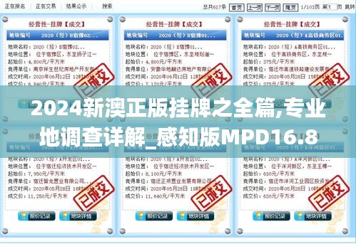 2024新澳正版挂牌之全篇,专业地调查详解_感知版MPD16.89