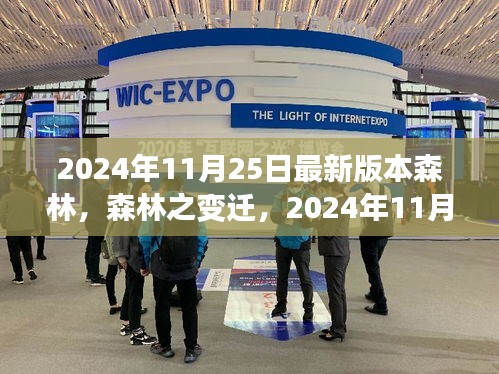 探索森林变迁，最新版本的森林探索之旅（2024年11月25日版）