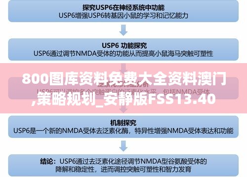 800图库资料免费大全资料澳门,策略规划_安静版FSS13.40