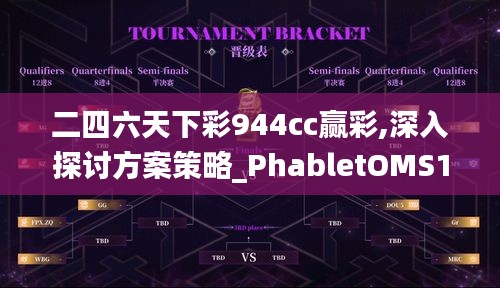 二四六天下彩944cc赢彩,深入探讨方案策略_PhabletOMS13.87