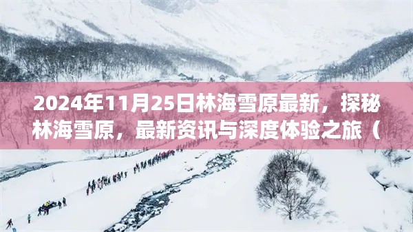 探秘林海雪原，最新深度体验之旅（2024年11月25日最新资讯）