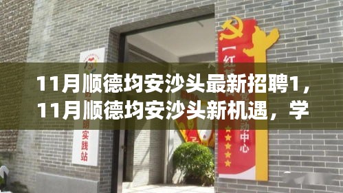 11月顺德均安沙头最新招聘启航，职场新征程，学习变革与自信成长的机会