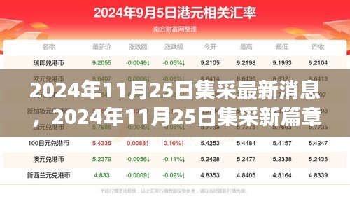 2024年11月25日集采最新动态揭秘，行业影响与时代地位探寻