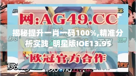 揭秘提升一肖一码100%,精准分析实践_明星版IOE13.95