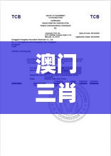 澳门三肖三码精准100%公司认证,实时异文说明法_多功能版HVA13.80