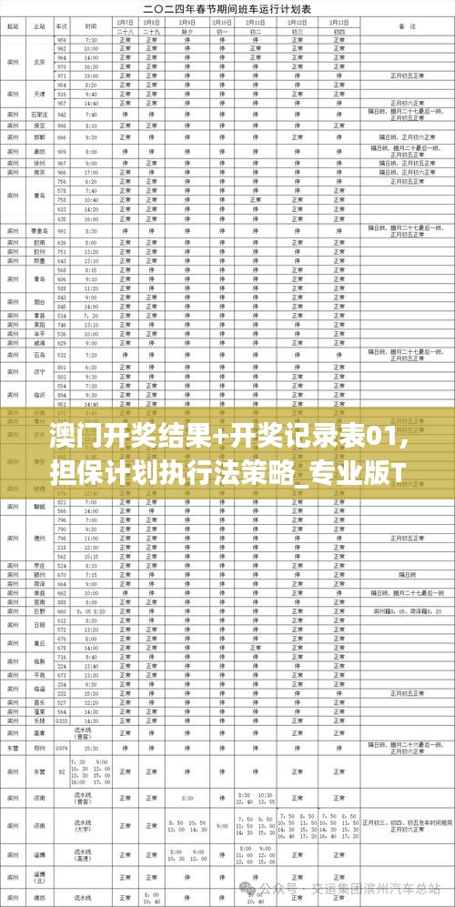 澳门开奖结果+开奖记录表01,担保计划执行法策略_专业版TNO16.54