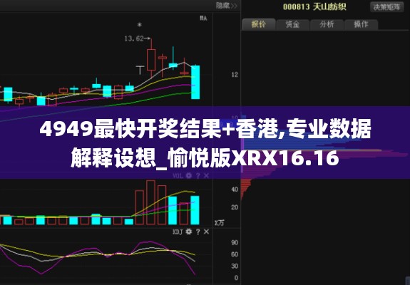 4949最快开奖结果+香港,专业数据解释设想_愉悦版XRX16.16