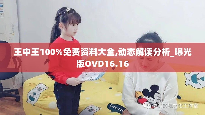 王中王100%免费资料大全,动态解读分析_曝光版OVD16.16