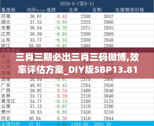 三肖三期必出三肖三码微博,效率评估方案_DIY版SBP13.81