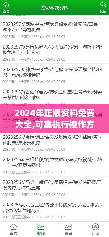 2024年正版资料免费大全,可靠执行操作方式_内容创作版KSJ16.62