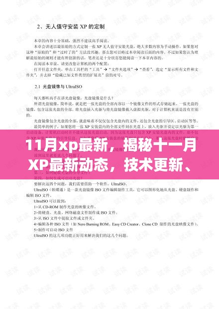 揭秘十一月XP最新动态，技术更新、应用拓展与市场趋势洞察