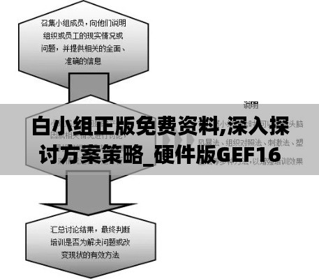 白小组正版免费资料,深入探讨方案策略_硬件版GEF16.73