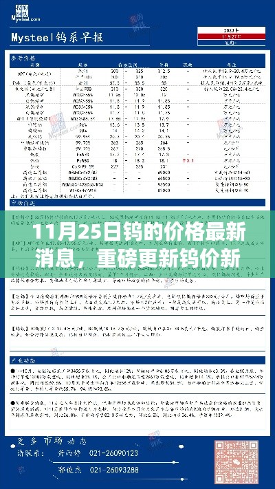 11月25日钨价新纪元，市场动态与高科技钨制品革新同步更新