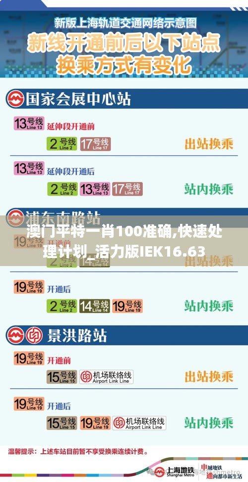 澳门平特一肖100准确,快速处理计划_活力版IEK16.63