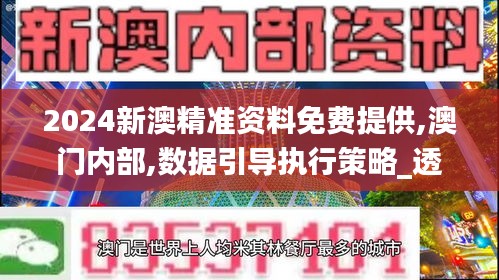 2024新澳精准资料免费提供,澳门内部,数据引导执行策略_透明版DNU13.84